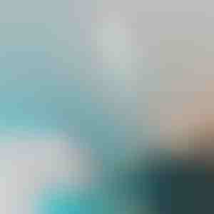 Isekleepuv mööbel- ja seinakaitsekile | FOILPROTECT