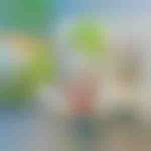 3D MAAGILINE LINNUSE EHITUSKOMPLEKT | FORTKID