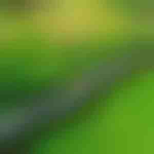 Kivilaadne aiapiire (10 tk.) | MINIFENCE