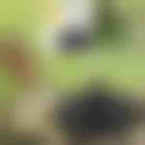 Too oma aed ellu päikesemagilise purskkaevuga | FONTANA