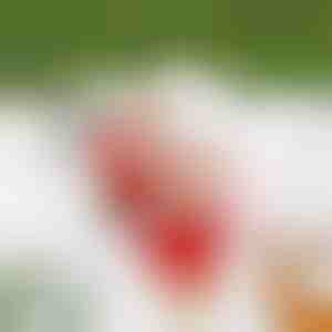 Redelil Roniv Jõuluvana SANTACLIMB