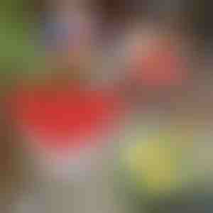 Täiuslik munakeetja | BOILCUP