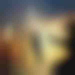 Mini õngeritv | HANDYFISH