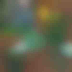 Aia istme põlvili | KNEEBENCH