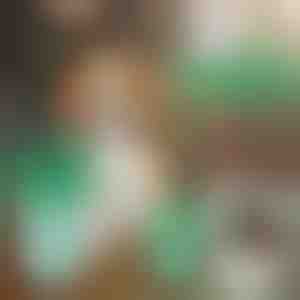 Limpiador de patas para perros | PAWSANI