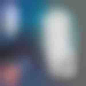 Elektriline lendavate putukate püünis koos kleepuva putukaplaadiga | TRAPKO