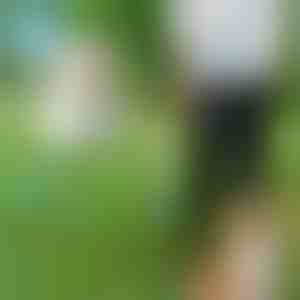 Käedeta koerarihm | CROSSLEASH