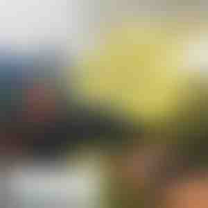 Käsitsi juhitav minidroon FLASH