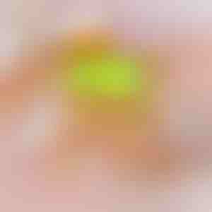 3-in-1 elektriline aurupuhastushari lemmikloomadele | PETSTEAM