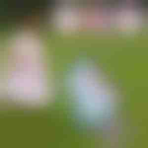 Kõndiv ja laulev ükssarvik plüüsist mänguasi | ROXY