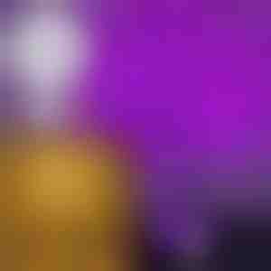 Tuiklev valguspuu | BLISSTREE