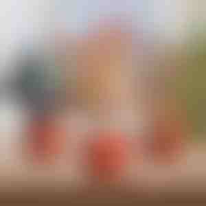 Jõulude interaktiivne tantsuloom | DANCETKO