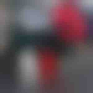 Monster Claw kleebised autole (4 tk) | SHINECLAW