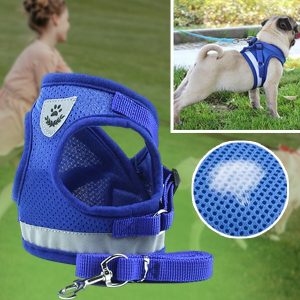 Reguleeritav valgustpeegeldav lemmikloomade rakmed ja rihm | LEASHNGO