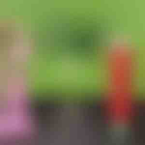 Aeglaselt vabanev orgaaniline väetis tableti kujul | FERTIGROW