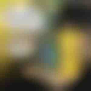 Lapse autotaldrik | MUNCHI