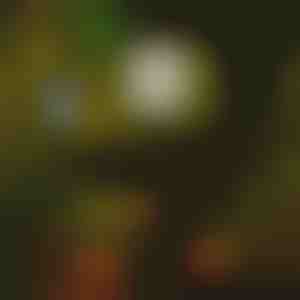 Päikeseenergiaga valgustid (6tk) | LUMITRAD