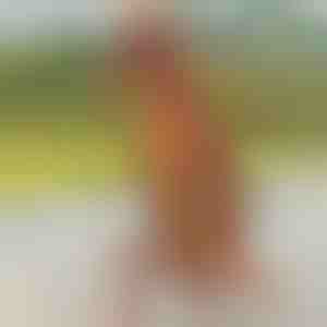 Täispuhutav dinosauruse kostüüm | TREXCOS