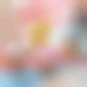 Tõmmatav hüppav kana mänguasi (5tk) | CHIKLET