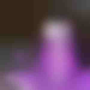 Võimas UV-moskiitovastane lamp | INSECNI