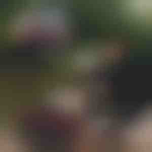 Kokkupandav kalapüügiämber | RIBETINA