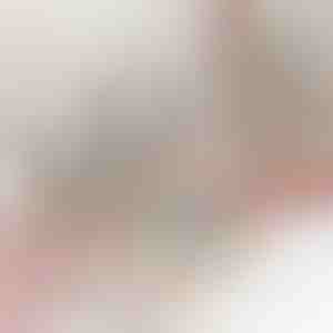 Mitmekambriline tualett- ja kosmeetikakott | TOILUXE