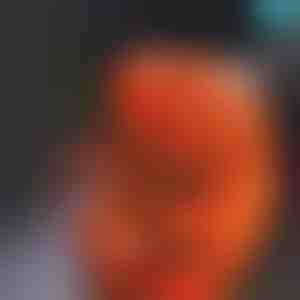 Puuri teritaja täpsete servade jaoks | BUSPRA