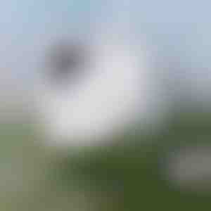 Pingevaba aknapesu | WINDOWSWIPE