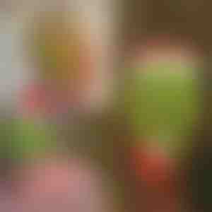 Grinchi jalgade jõulukaunistus | ELFLEGS