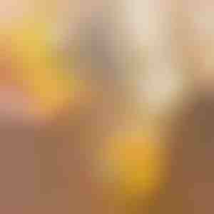 Munakoorte avaja | YOLKIE