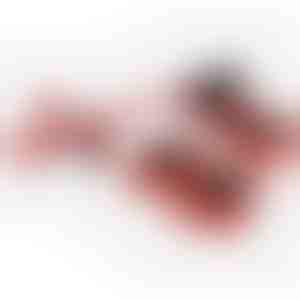 Mööbli teisaldamise komplekt 4 liuguri ja tõstukiga | LIFTROLLERS