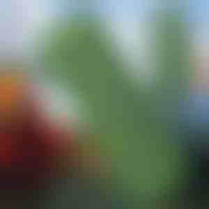 Ülikerge matkapadi | BUBIMAT