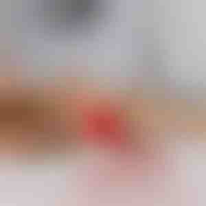 Lemmikloomade mänguasi, mis liigub puudutusel | GATOPLAY