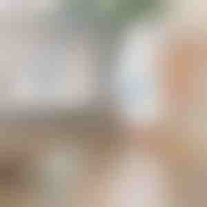 Elektriline pöörlev puhastushari | ROTOBRUSH