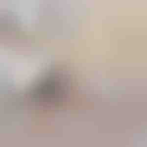 Täispuhutav diivanvoodi | SOFLINKA