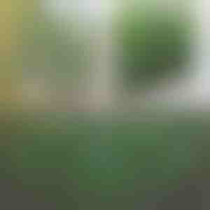 Dekoratiivne ja praktiline aed terrassile ja aeda | GREENFENCE