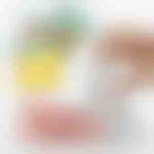 Kiire ja lihtne toiduvakuumseade ja õhupump | QUICKSEAL