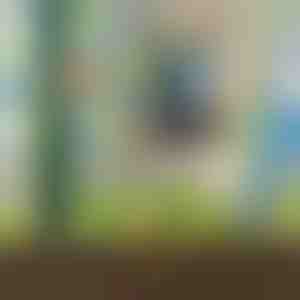 8-OSALINE KASTMISKOMPLEKT | PLANTDROPS