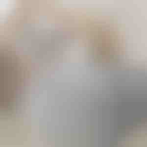 Ruumisäästlik isekompressiivne korraldaja | PACKMAX