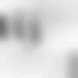 Reguleeritavad vaheseinad sahtlitele või riiulitele | DIVISERINO