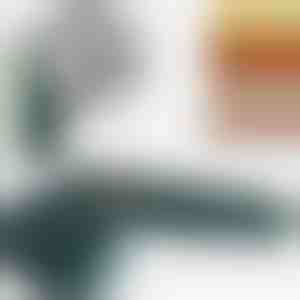 Seade kiudude eemaldamiseks kangast | FUZZOFF