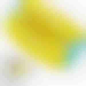 Mikrofiiber jalanõu pesukott | SHOEPURE